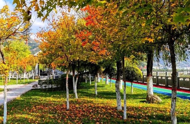 兰仓秋，染山河。