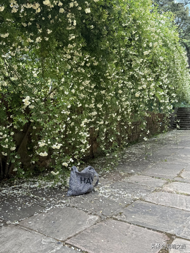 盘龙绝美出片地曝光！网友：被美迷糊了