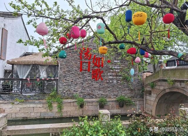 春游荡口古镇