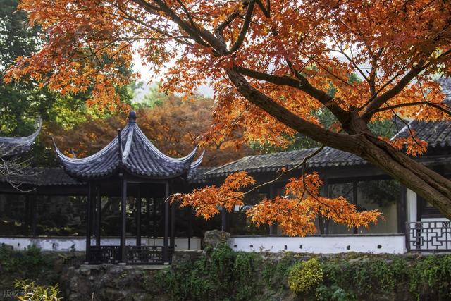 11月-12月，深秋时节，适合去赏秋的7个城市，秋景密集，景观多样