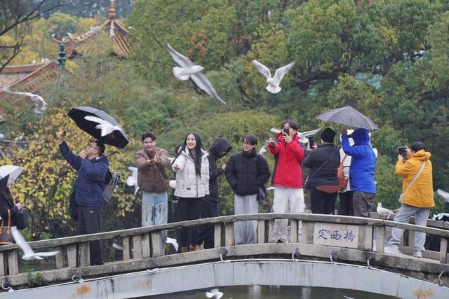 【外眼看云南】以脚步丈量，用镜头传播：他们成为和美云南“海外代言人”