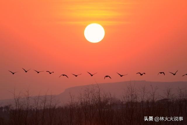 2026年春节在几九？过年到底冷不冷？早看心里有数	，看老话咋说？