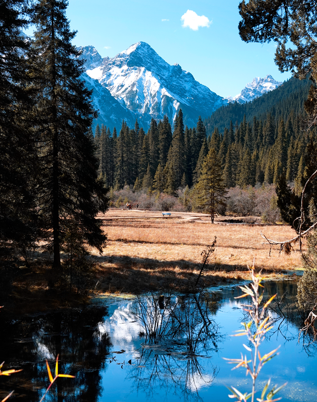 走不出这画了，我已被平武的彩林迷倒！