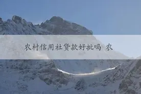 农村信用社贷款好批吗 农村信用社贷款申请流程、条件及优势简述图片