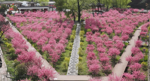 两当：一城繁花绘春色