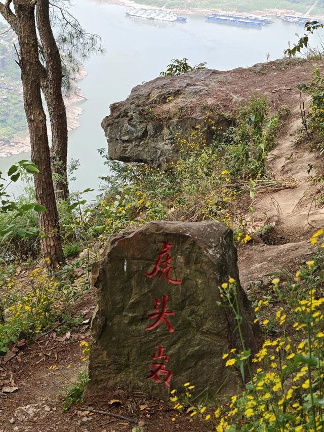 重庆铁山坪森林公园轻徒步路线