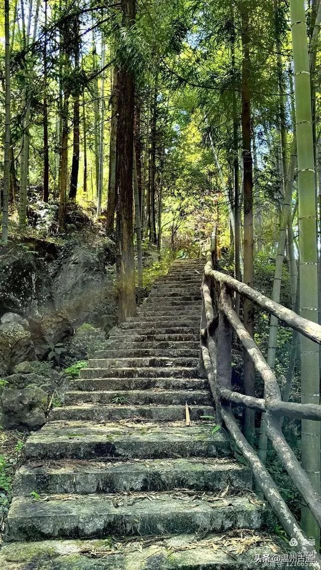 华东最后一个通电村！你知道是温州哪个村吗