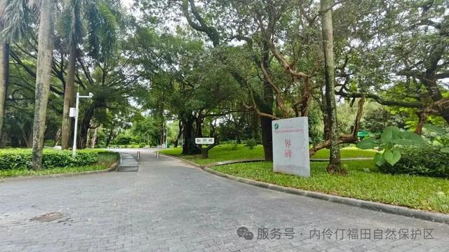 深圳知名景区提醒：即日起，入口有变！