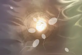 【医学小常识】从“精”开始，守护未来：“准爸爸”们的精液检查指南图片