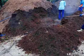 发酵肥料的一种新方法，经常有人用，我们用了之后，效果的确好图片