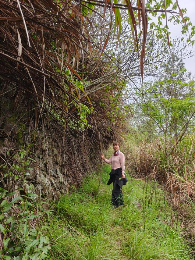 仙居县大木辽村，寻寻觅觅落脚地，起起落落下山走