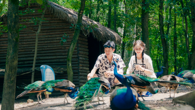 踏春研学指南| 四大研学路线，一键打卡鹰潭春日美好~