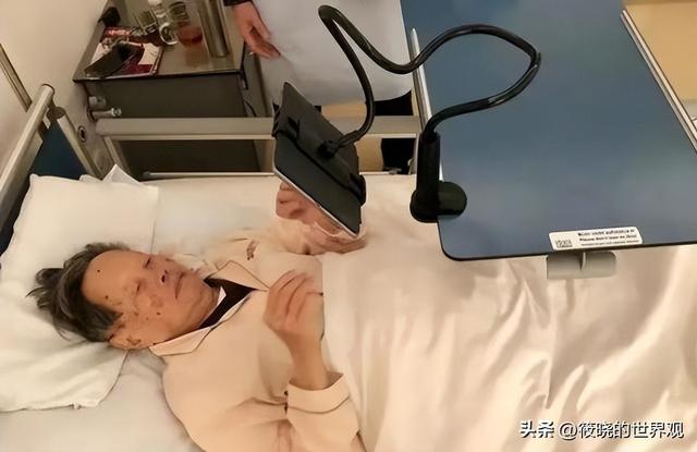 49岁的翁帆也没想到，杨振宁去世后，竟因一个举动实现口碑暴涨
