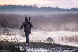 追捕野猪的人（一个猎人的精彩一生）图片