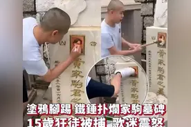 后续！家驹墓遭人毁坏，主角是黄家强？网友：人品败坏图片
