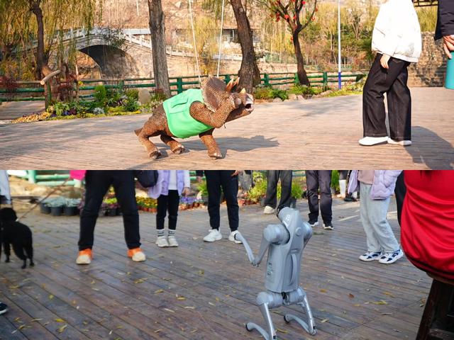 临沂竟藏了这么多“雪村”！你有去过吗？