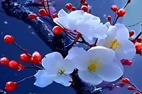 两会话题：建议提高原民办教师的教龄津贴图片