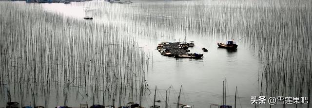 水墨国画，诗意霞浦