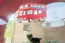 坐飞机、搭高铁、乘地铁！这个五一“毛孩子”也能说走就走图片