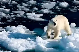 地球气候失控，一会儿极冷一会儿极热！真的会迎来小冰河期吗？图片