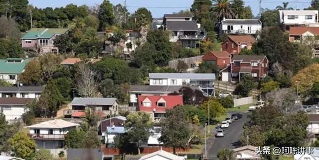 为何说新西兰没几个中国人待得住？网友：待了几个月，都快疯了！