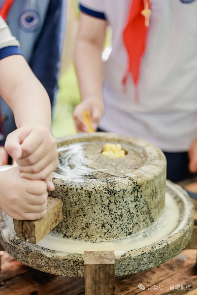 放春假啦，桐梓春日玩法上新，等你去解锁