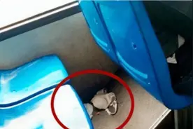 你逃我追你插翅难逃！乖乖止步吧，我的猎物图片