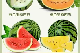 原来西瓜也有这些颜色的果肉啊第一次知道图片