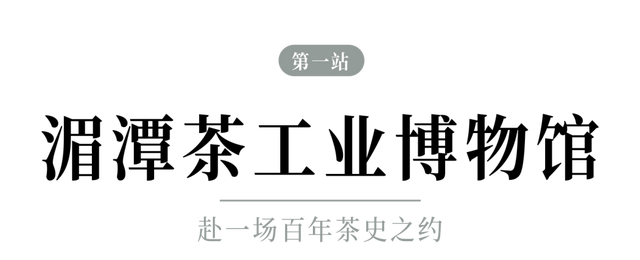 春假出逃计划 │ 从指尖绿意到星空露营，开启春日黔北茶韵之旅！