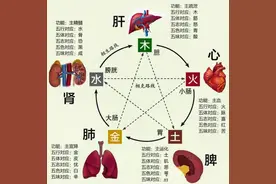 1、你应该知道的二十种排毒的食物（一）图片