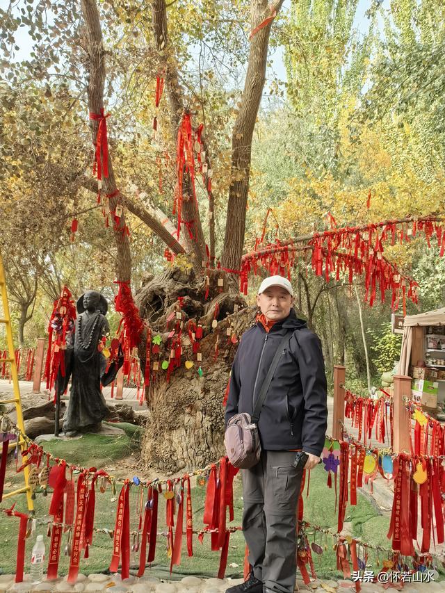 2025环南疆沙漠铁路背包自由行日记(4)——游览泽普金湖杨景区