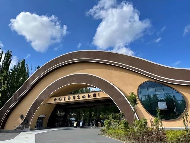 如意甘肃·畅游五一 | 寻迹陇原古韵，解锁快乐假期