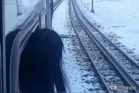 原来狗熊岭真的存在，原来在这，我却被网友的评论弄哭了图片