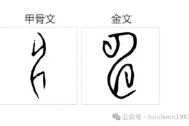 说文解字：电图片