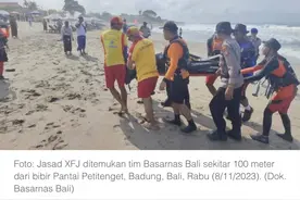 卡琳娜老公仲尼疑在印尼遇难 外媒称其游泳被海浪卷走图片