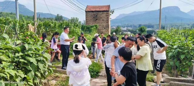 济南驻村第一书记带你“自驾”行 • 游乡村（市中、南部山区篇）