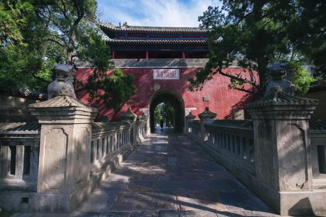 挤景点？太常规！本地人带你开启山东16城土著副本！