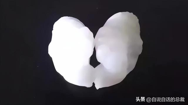 二十年的老鱼胶 2026年30年老鱼胶