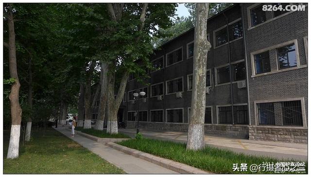 山东行游影记（14）—济南山东大学（一）