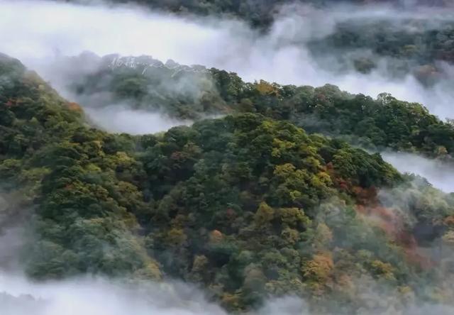 红叶爬上马鬃岭/郭兴华