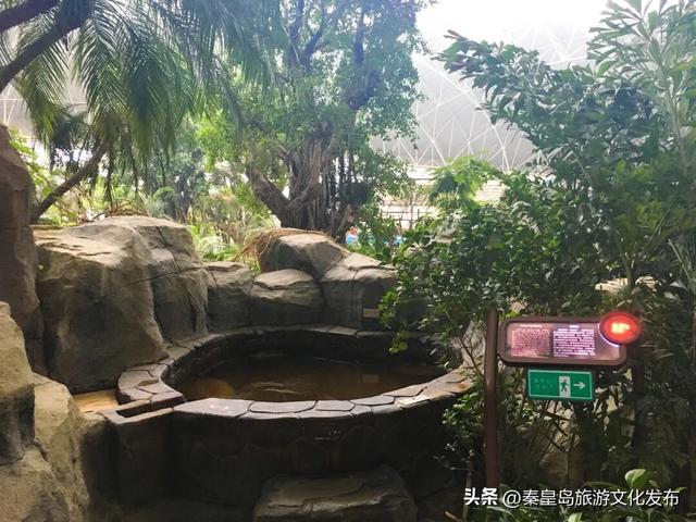 秦皇岛渔岛景区10月9日起闭园，菲奢尔温泉持续相伴！