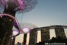 新加坡自由行注意事项图片