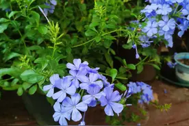 讲讲身边两个炒股朋友的故事图片