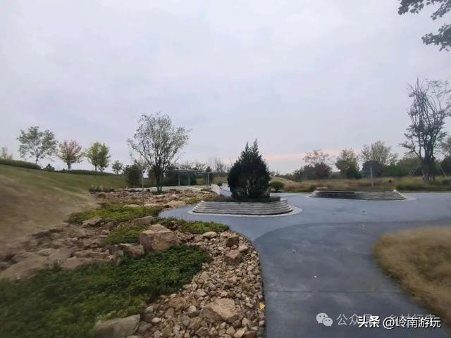 乘上地铁10号线到灞渭桥湿地公园，大片粉黛乱子草等着你打卡！