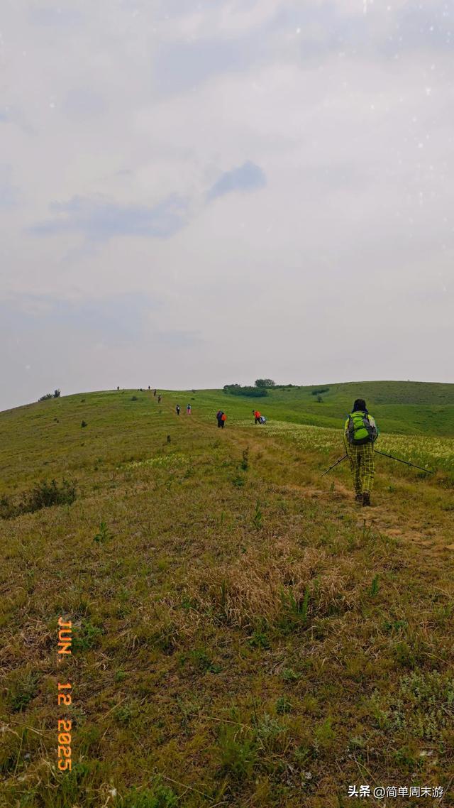 7）山西阳城析城山圣王坪，在云端草甸邂逅狼毒花的美，与千年传