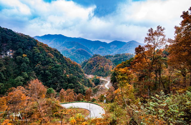 来广元月坝，解锁一场“多巴胺”初冬
