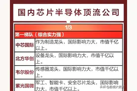 国内半导体芯片第一梯队核心龙头公司只有四家！图片