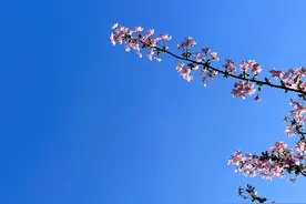 人到中年，容易让男人动心的，是以下3种女人图片