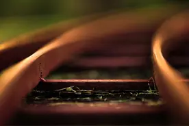 一个人有没有福气，看脸就知道，有两个明显的记号图片