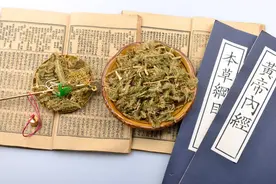 身上疼别硬扛！艾叶搭两宝煮水，筋骨舒畅，疼痛“退退退”！图片